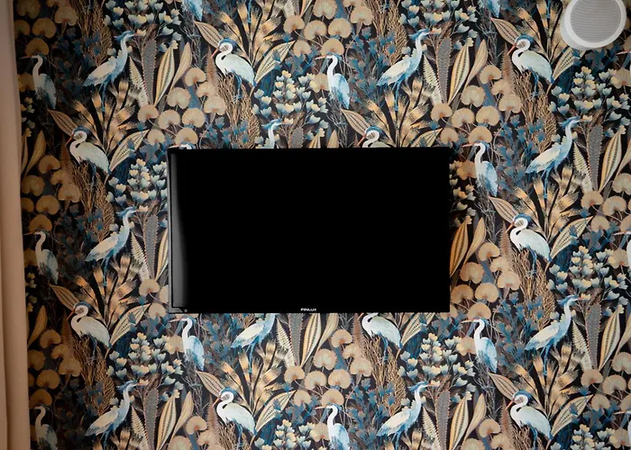 Comfort 340 By Bookinghost